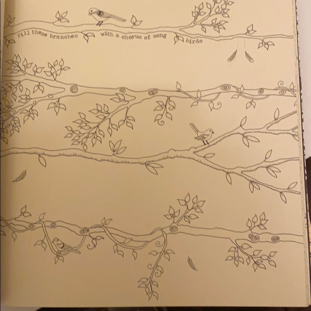 Adult Coloring book - Picture 2 of 4